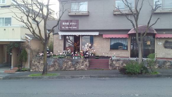 東京都町田市の花屋 花の店さかいにフラワーギフトはお任せください 当店は 安心と信頼の花キューピット加盟店です 花キューピットタウン